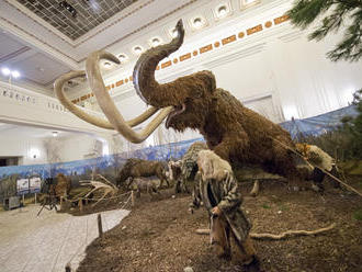 Jedinečná výstava v Bratislave: Spoznajte obrovské zvieratá z ľadovej doby