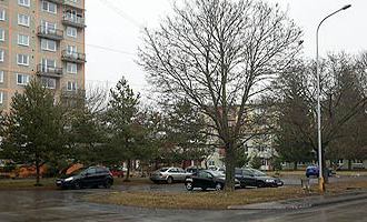 Na Rožňavskej ulici našli poškodené dve odparkované autá