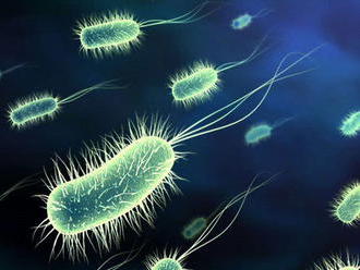 WHO uverejnil zoznam najnebezpečnejších baktérií odolných voči antibiotikám