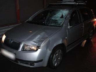 Podivná nehoda pri Považskej Bystrici: FOTO Martinčan   na diaľnici zrazil mladíka  