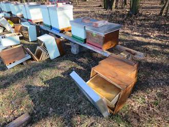 Policisté vyšetřují poškození jedenácti včelích úlů