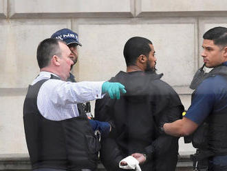 Britská policie při razii zadržela šest lidí. Údajně překazila aktivní plán teroristického útoku