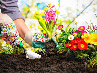 Kalendár záhradkára: Čo musíte urobiť v záhrade v apríli?