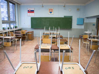 V školstve sa Slovensko rok od volieb neposunulo, tvrdí Remišová