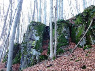 Túra: Lesný NCH Tajch, Vážená skala a Mohylky