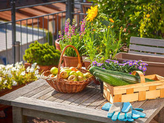 Chceš vlastní zeleninu a nemáš zahradu? Osázej si balkon!