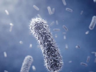 Vedci zdokonalili staré antibiotikum, zaberá aj na rezistentné baktérie