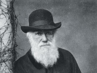 Darwin uměl nakládat s časem čili O prospěšnosti flákání
