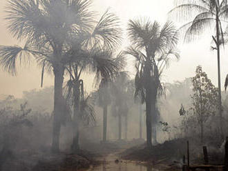 Čeští vědci budou v Panamě, Vietnamu a Ghaně měřit jak pralesy vstřebávají oxid uhličitý. Od tamních