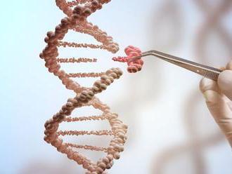 Brnianski vedci začnú s Britmi spolupracovať na výskume opráv DNA
