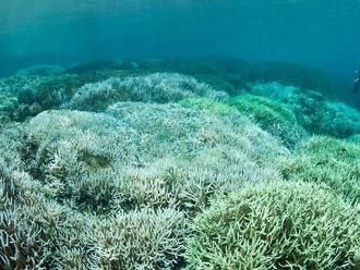 UNESCO má vážne obavy o osud Veľkej koralovej bariéry