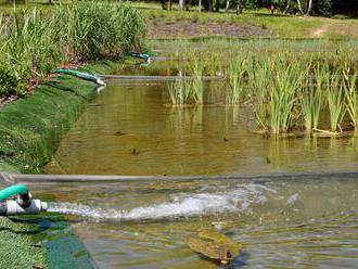 Letná sezóna na rybníkoch v Snine je pre spor v ohrození