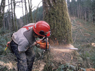 Drevorubača pri Gelnici zavalil strom, zasahovať musel vrtuľník