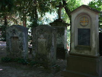 Úplná novinka, na Slovensku vznikne prírodný cintorín: Takto v ňom chcú pochovávať nebožtíkov!