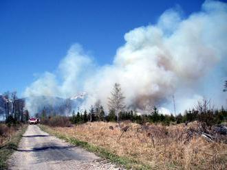 Veľký požiar lesa na Záhorí: Zasahuje vyše sto hasičov!
