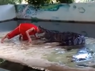 Najhorší deň v práci: Zabávač vopchal hlavu do krokodílej tlamy, toto turisti nečakali