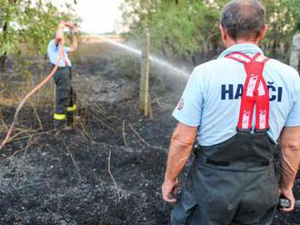 Letné horúčavy zvyšujú riziko požiarov v prírode, varujú hasiči