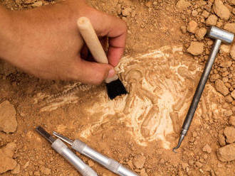 V Bratislave objavili jedno z najrozsiahlejších archeologických nálezísk na Slovensku