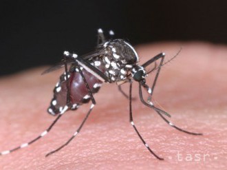 Horúčkou dengue na Srí Lanke sa nakazilo už vyše 114.000 ľudí