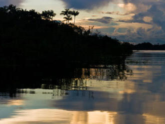 Brazílska vláda navrhla zmenšiť chránenú oblasť pralesa