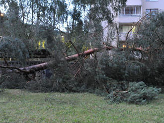 Búrka na východe Slovenska vyvracala stromy a strhávala strechy