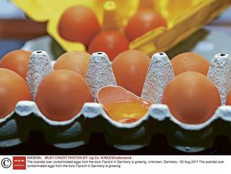 Otrasný nález v hotelových kuchyniach: Praženicu aj omelety pre hostí chystali z otrávených vajec!