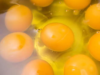 OTRASNÝ nález kontrolórov: Z trhu sťahujú ďalšie otrávené vajcia!