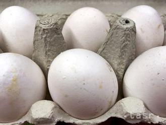 Fipronil objavili vo vajciach v siedmich ďalších chovoch v Belgicku