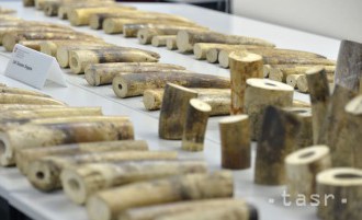 Z colného skladu vo Vietname zmizlo 150 kilogramov slonoviny