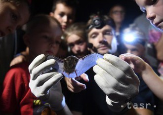 Košická zoo sa opäť zapojí do Európskej noci netopierov