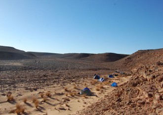 Splnomocnencom pre Západnú Saharu sa stal exprezident Köhler
