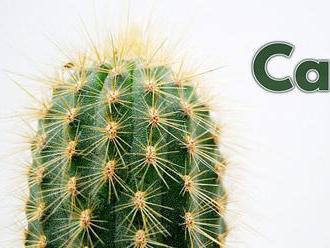 Co nového v monitorovacím nástroji Cacti