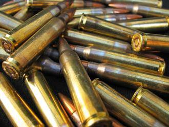Pyrotechnici našli v Bořím lese zatím přes 800 kusů munice