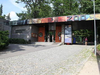 Liberecká zoo nabídne návštěvníkům ukázky sokolnického výcviku