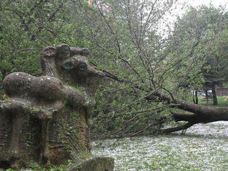 Slovenskom sa prehnala búrka so silným vetrom, lámala a vyvracala stromy