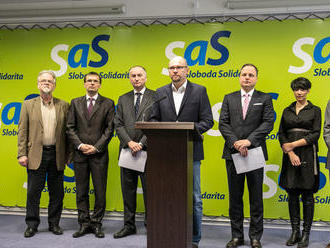 Minister Plavčan urobil ďalšiu dieru do slovenskej politickej kultúry, tvrdí SaS