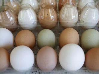 Kúpiť slovenské vajcia bude možno problém, varujú obchodníci