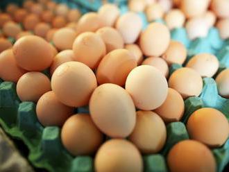 V produkcii vajec je naša krajina sebestačná, no aj napriek tomu ich dovážame