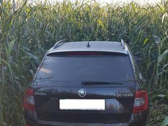 Podozriví z prevádzačstva unikali pred políciou, neskôr našli ich auto v kukuričnom poli