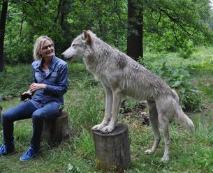 Manažéri už nevedia, čo so sebou. V Rakúsku sa postavili zoči voči vlkom!