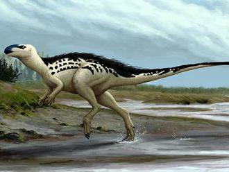 Česká republika má svého prvního dinosaura. Dostal jméno Burianosaurus