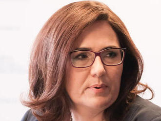 Lubyová:  Exminister Plavčan je ako poradca užitočný, zmluvu má do konca roka