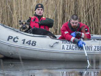 Pri Devínskom jazere našli telo, zrejme ide o nezvestnú psíčkarku