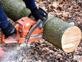 Tragédia v Rakúsku: Na Slováka spadol strom, zomrel na mieste