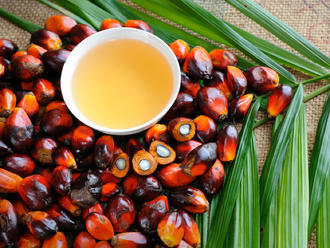 Palmový olej rozdeľuje ľudí: Nájdete ho takmer vo všetkom, mnohí ho bojkotujú