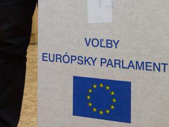 SaS navrhuje pri voľbách do europarlamentu hlasovanie poštou