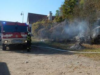 V Bechyni zasahovali hasiči u požáru lesního porostu, vodu čerpali z řeky