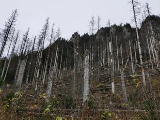 Tatrami sa prehnal silný vietor, povyvracal vyše tisíc stromov