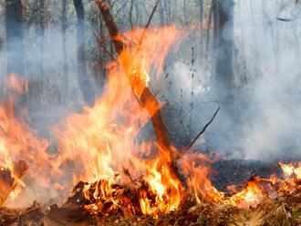 Hasiči zasahujú pri požiari nad Hnúšťou: Nachádza sa v ťažko dostupnom teréne