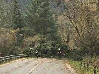 Silný vietor bičuje Slovensko: Vlak narazil do spadnutého stromu, stred krajiny je bez elektriny